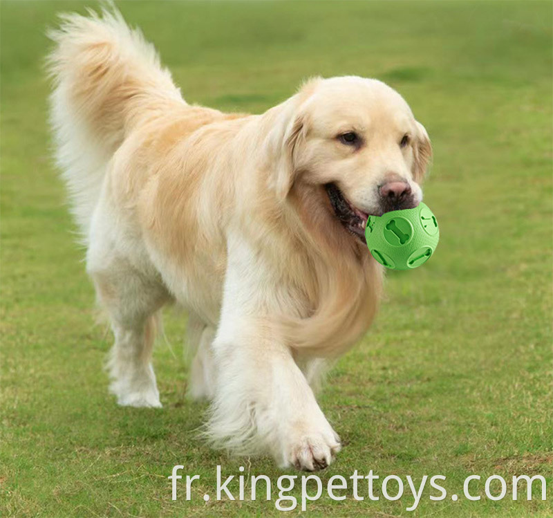 Pet Ball Interactive Dog Toy Ball